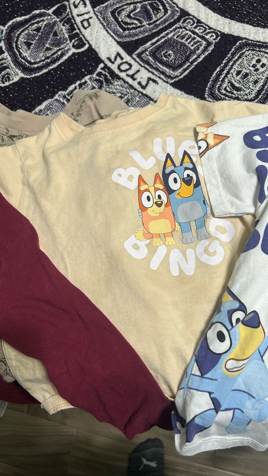 Bluey And Dinosaur Clothes