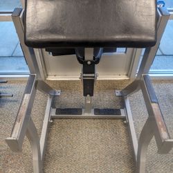 Hammer Strength PreacherCurl  Bench