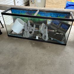 Fish Tanks 