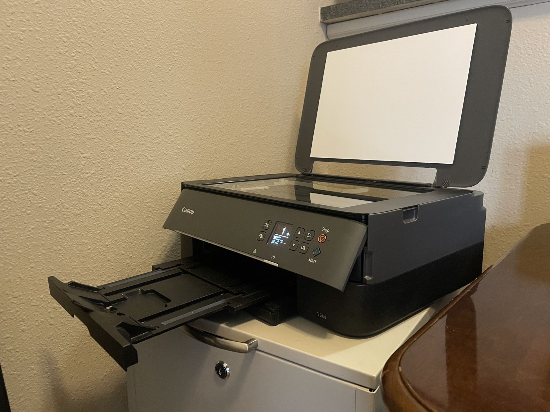 Canon TS6420 All-in-One Wireless Printer 