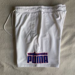 The Hundreds X Puma Shorts Size Large