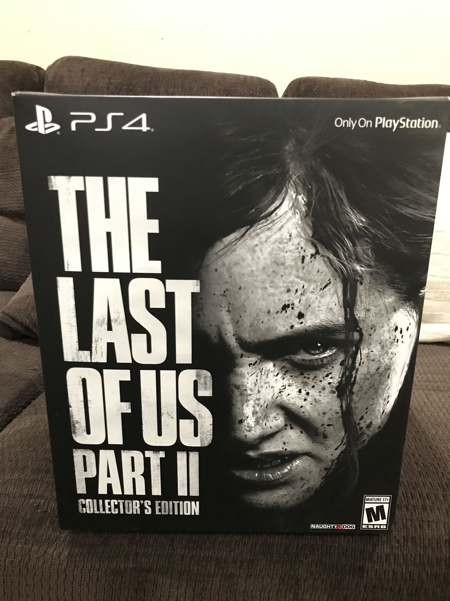 The Last Of Us 2
