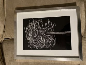 Silver Picture Frames