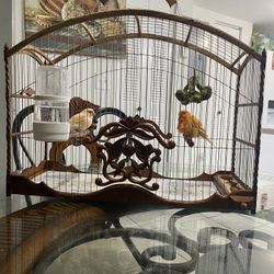 Bird Cage 