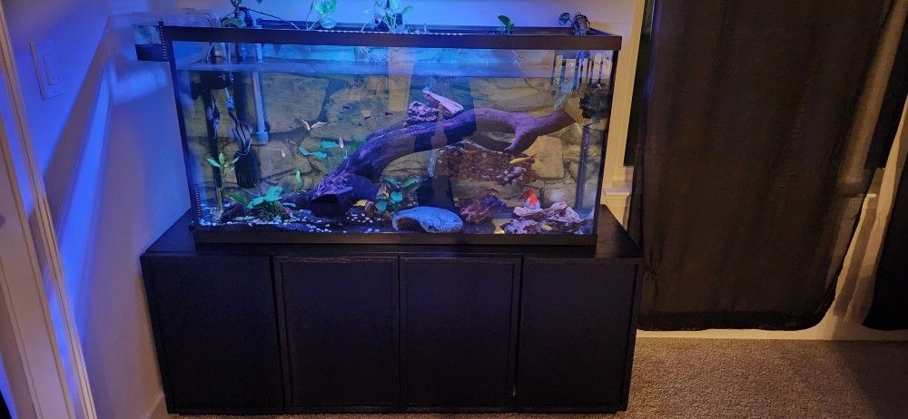 Aquarium