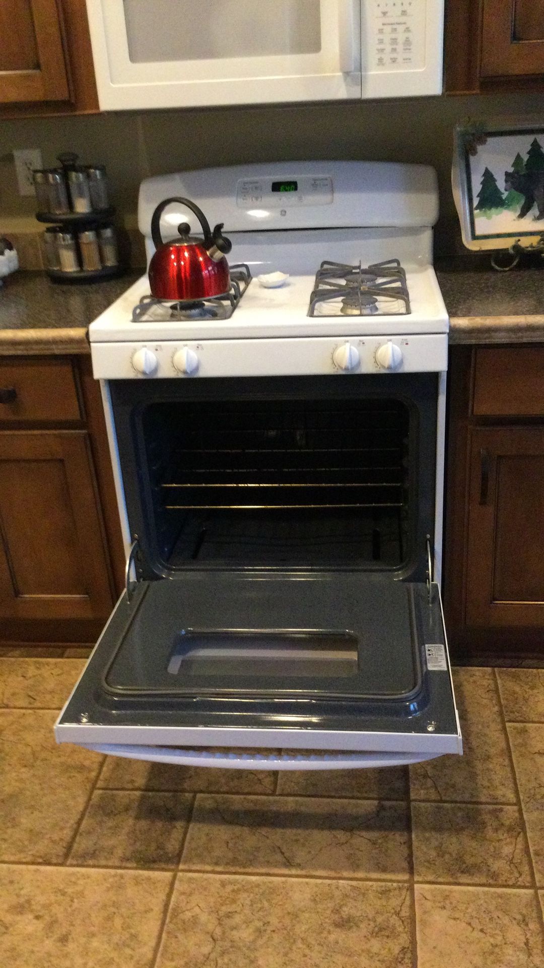 GE Gas Range