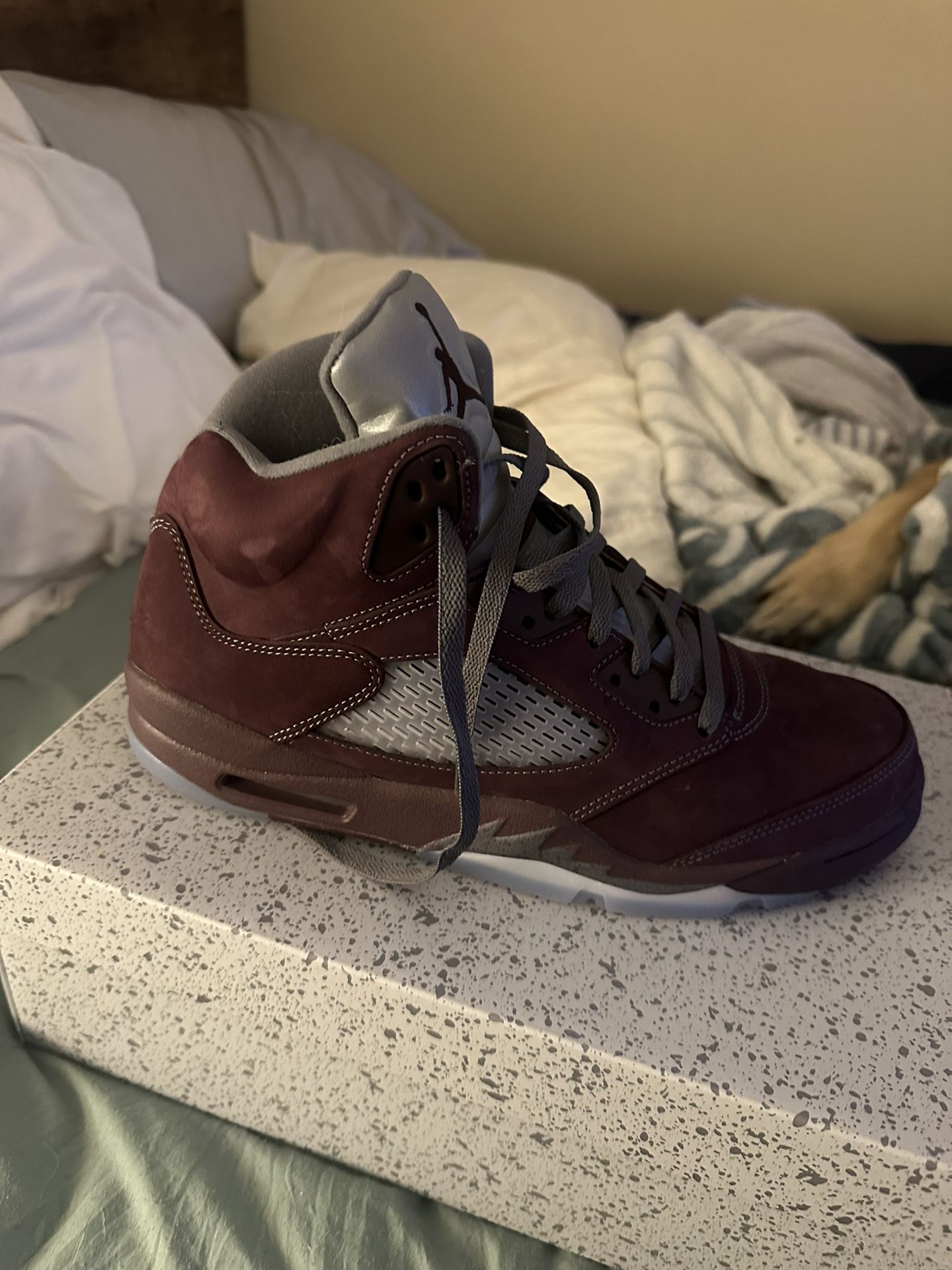 Air Jordan 5 Retro SE