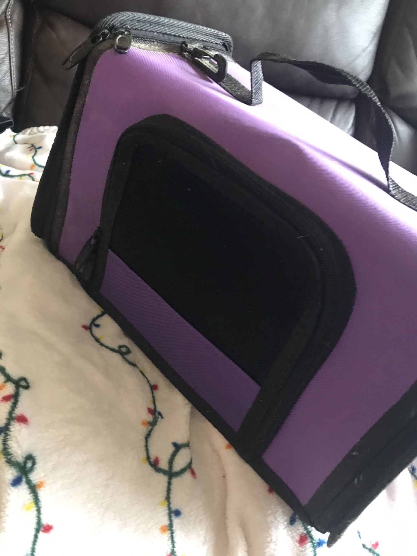 Small pet carrier