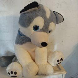 Big Stuffed Puppy Toy Asking $25 Cash