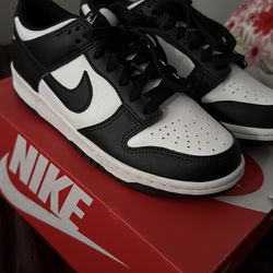 Nike Dunk 6 Youth