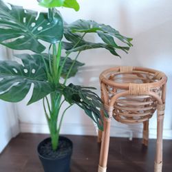 Boho Plant And Like New Rattan Stand For SALE 