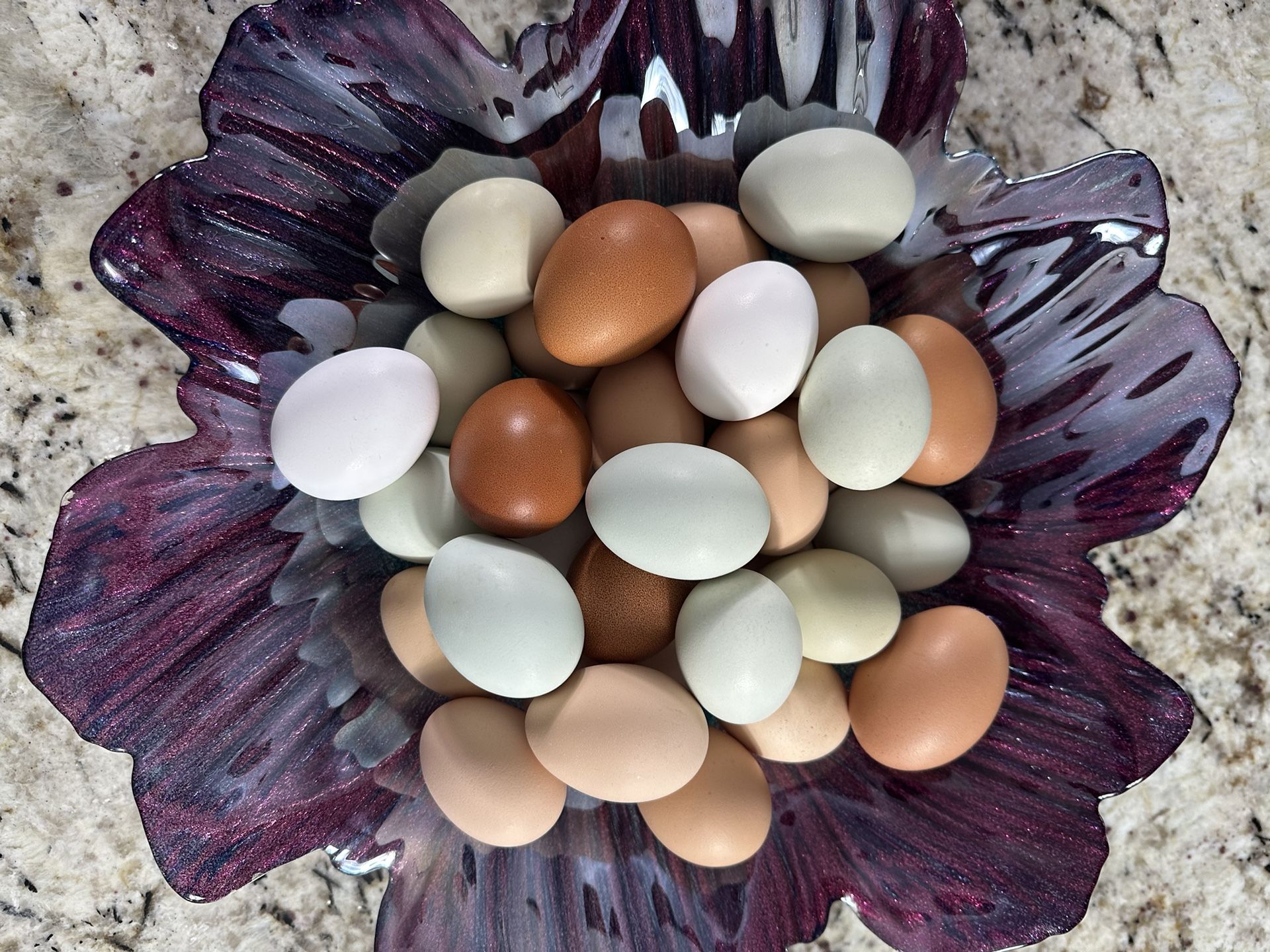 Fresh Cage Free Pasture Raised Eggs