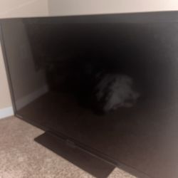 42 Inch Flat Screen TV 