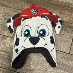 Paw Patrol Youth Hat