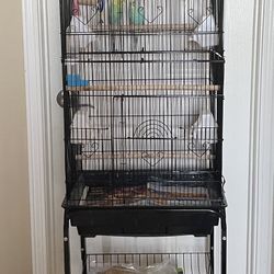 Birds W/ Cage, Toys And Food 