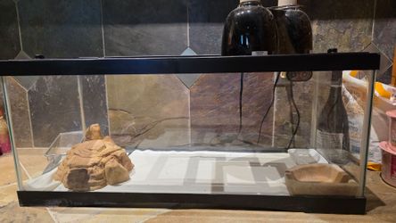 Reptile aquarium/terrarium