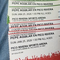 Pepe Aguilar, HOY!