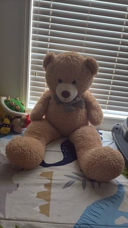 55 inches teddy bear