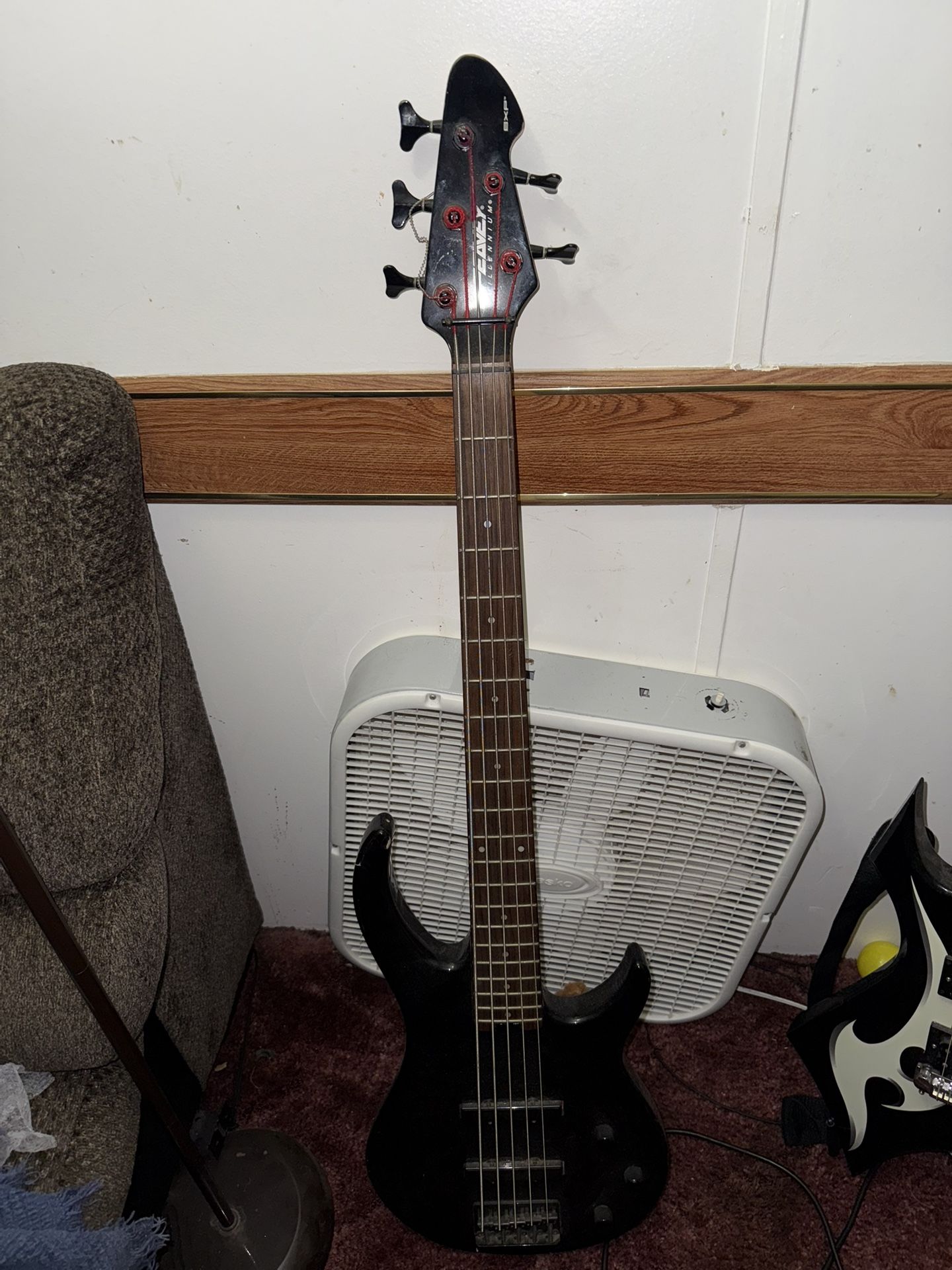 Guitar
