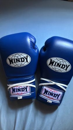 Windy boxing gloves