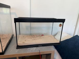 5 gallon aquarium with screen top 20x10x12