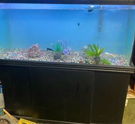 100-gallon fish tank and stand
