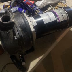 Wayne 1 1/2 Hp Cast Iron Lawn Sprinkling Pump