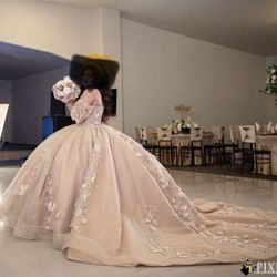Quinceañera Dress $900
