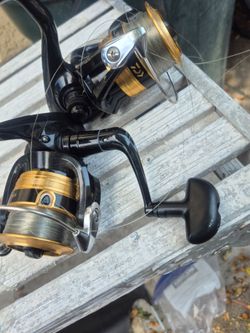 Daiwa   japonés    3000
