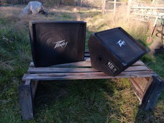 Peavey 12M  2-way Stage Monitor