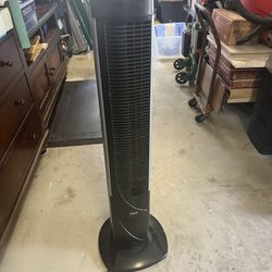 Oscillating Fan
