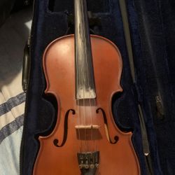 4/4 Palatino vn-350 Violin