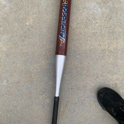 Softball Bat