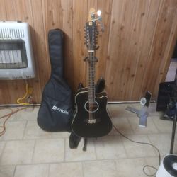 Vangoa  12 String