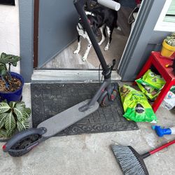Folding Electric  Scooter