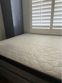 Free Queen Bed