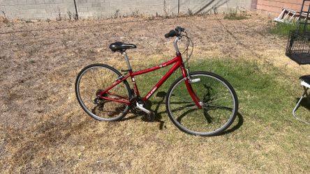 Hybrid Bike