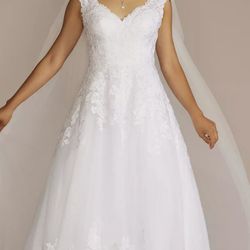 David's Bridal Dress