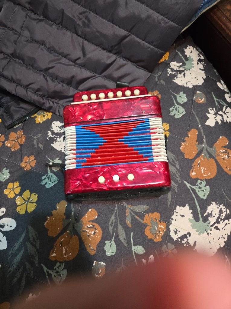 A VERY NICE ACCORDION IN EXCELLENT CONDITION 