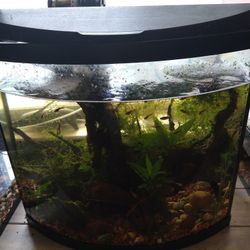 Bow Front Aquarium, Large, 18-24 Gal Fish Not Included