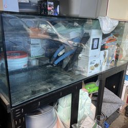 180 Gallon Fish Tank, Ready For Saltwater Or Fresh (6ftx24x24)