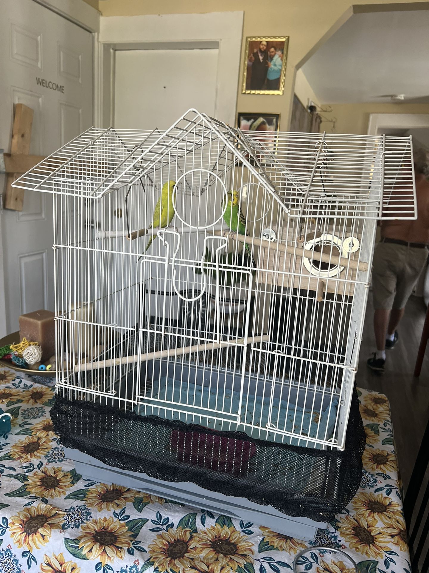 M Cage For Sale