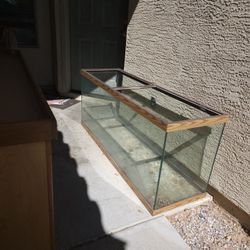 Fish Tank / Reptile Tank