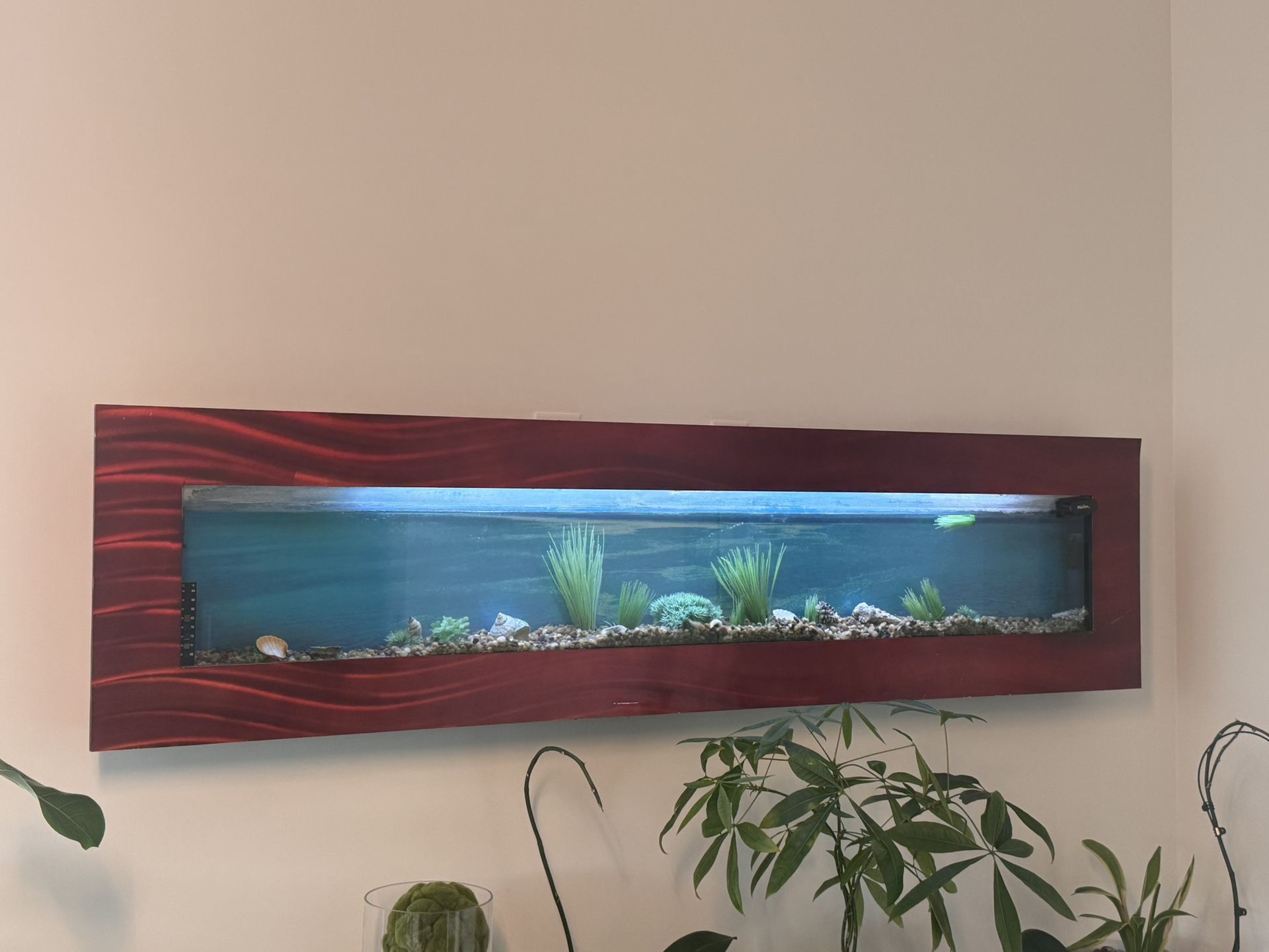 Fish Tank