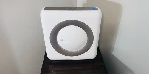 Two Coway Airmega Air Purifiers