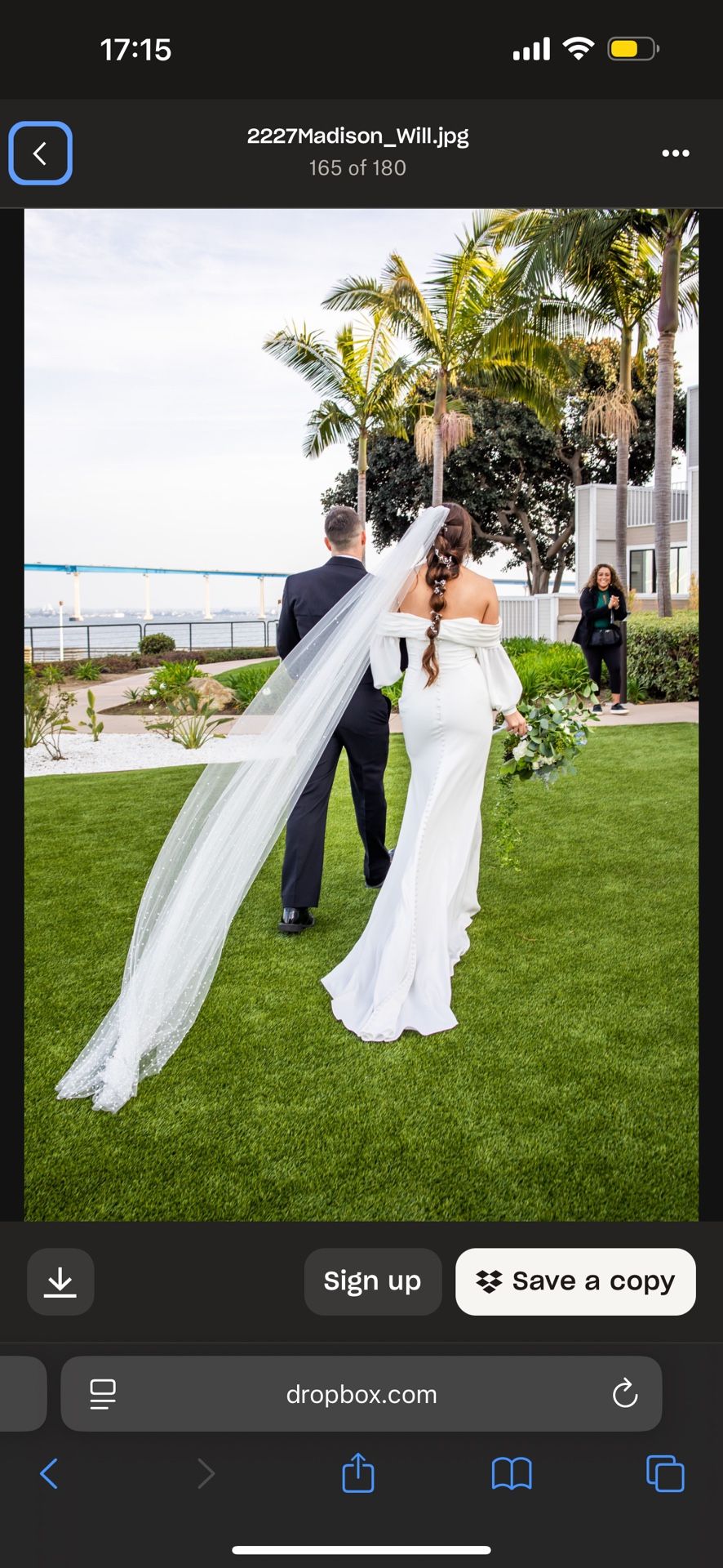Ivory Tulle Pearl Veil
