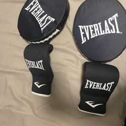 Everlast Core Boxing Gloves and Punch Mitts 