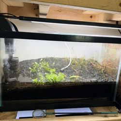10 Gallon Tank With Fluval Substrate