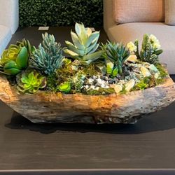 Faux Succulent And Tropical Arrangements  