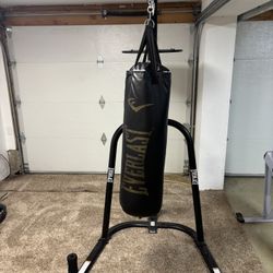 Everlast Punching bag and stand w/speed bag Option